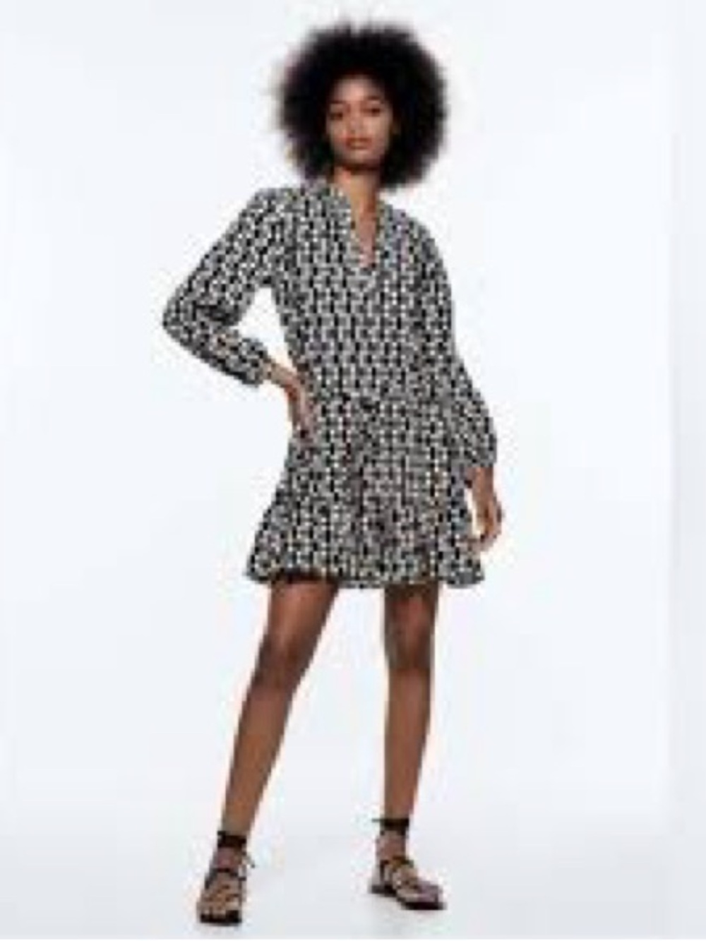 Zara Black & White Printed Mini Dress